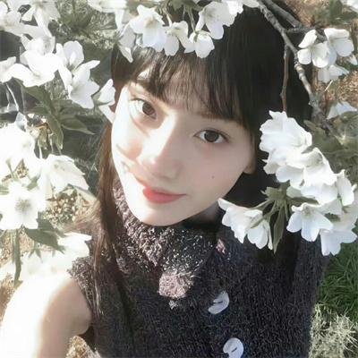 暴风少年之三大家族