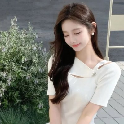 功夫梦:融合之道